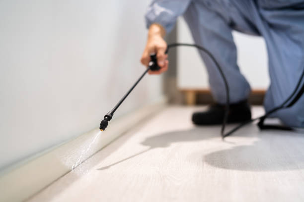 Licensed Pest Control service in Lexington, MS - Show Me Pest Control